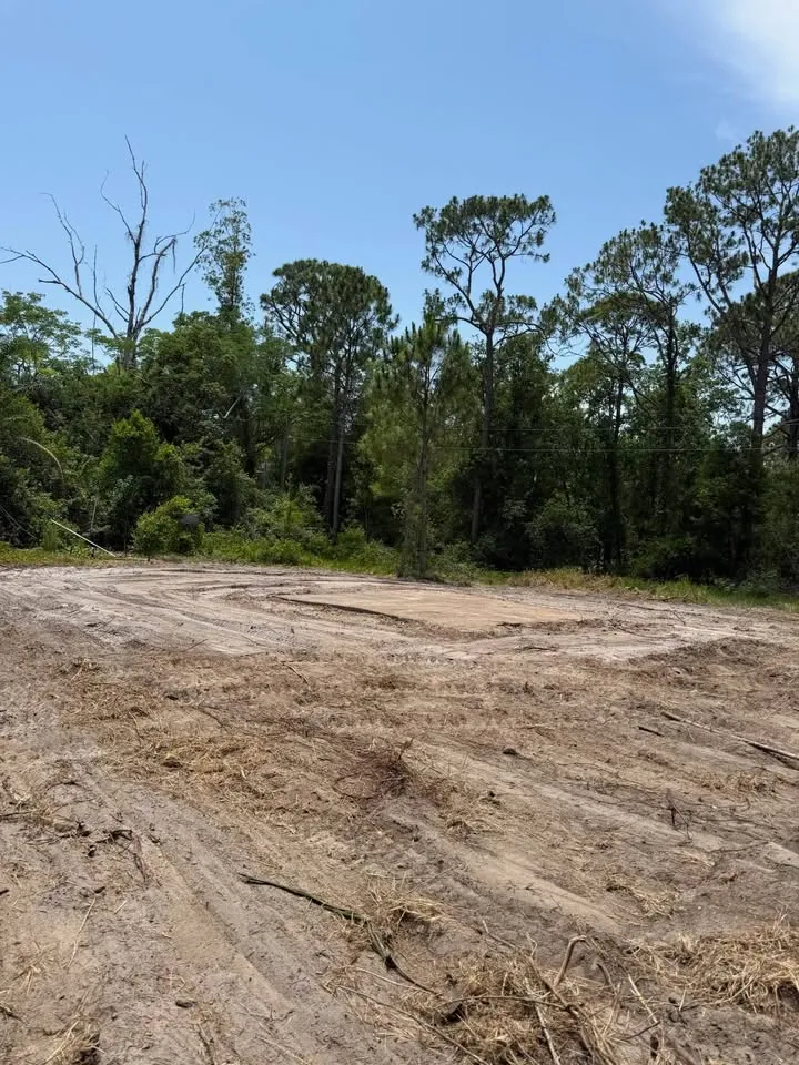 Levelled bare soil lot with a tree line behind, ready for the next stage